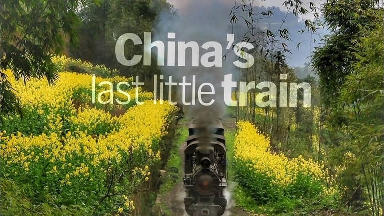 China’s Last Little Train