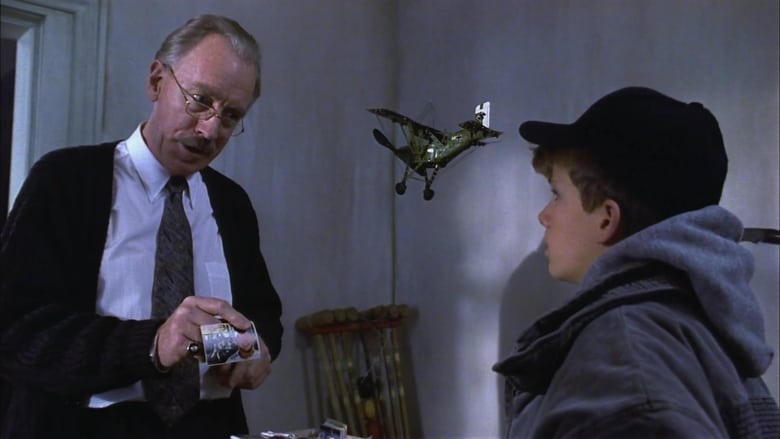 Needful Things (1993)