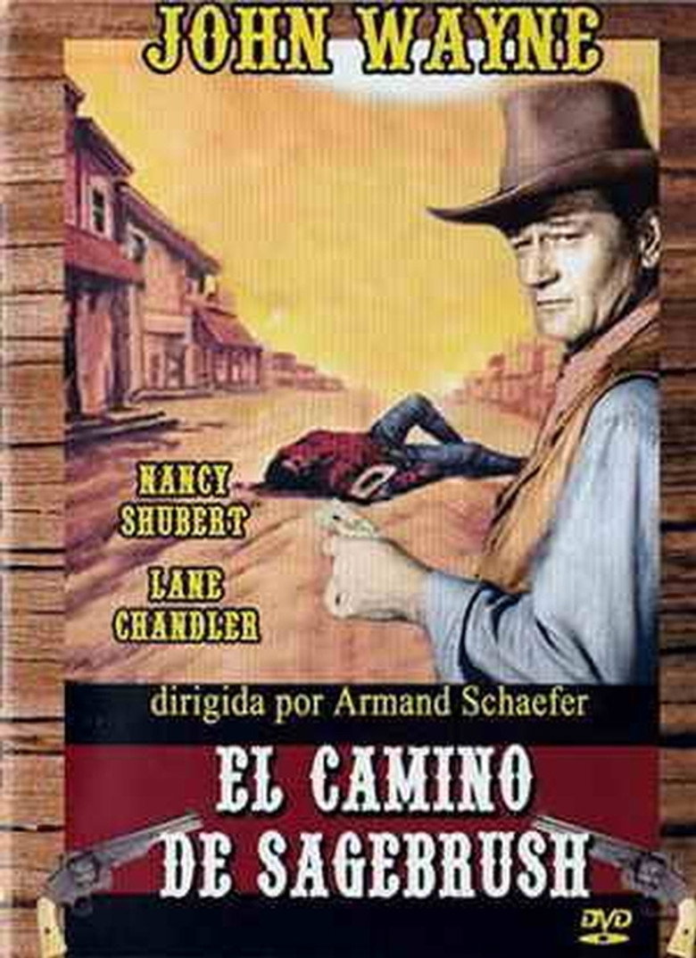Póster de la película: El camino de Sagebrush