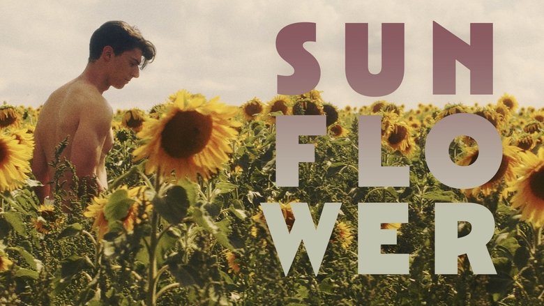 Sunflower (2024)