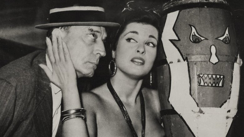 Gallery image from tpSQ8GIDzSMgUqFcyI8hPeUDkLL.jpg