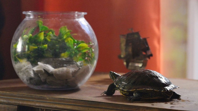 Image d'arrière-plan 2 du film Binky