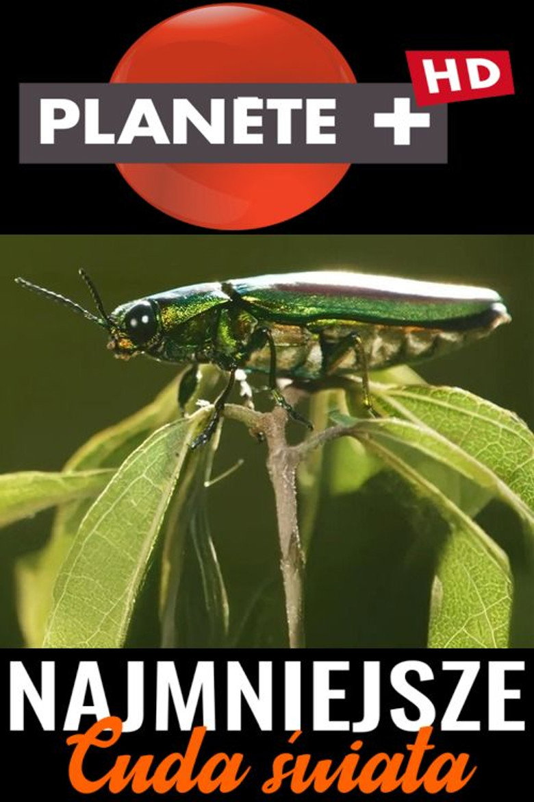 Official poster for From Macro to Micro: Uncovering Earth's Unseen