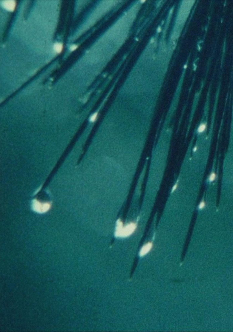 Imatge de Passacaglia y Fuga