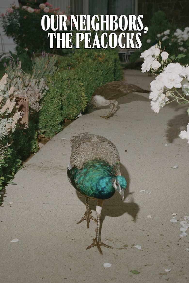 Imatge de Our Neighbors, the Peacocks