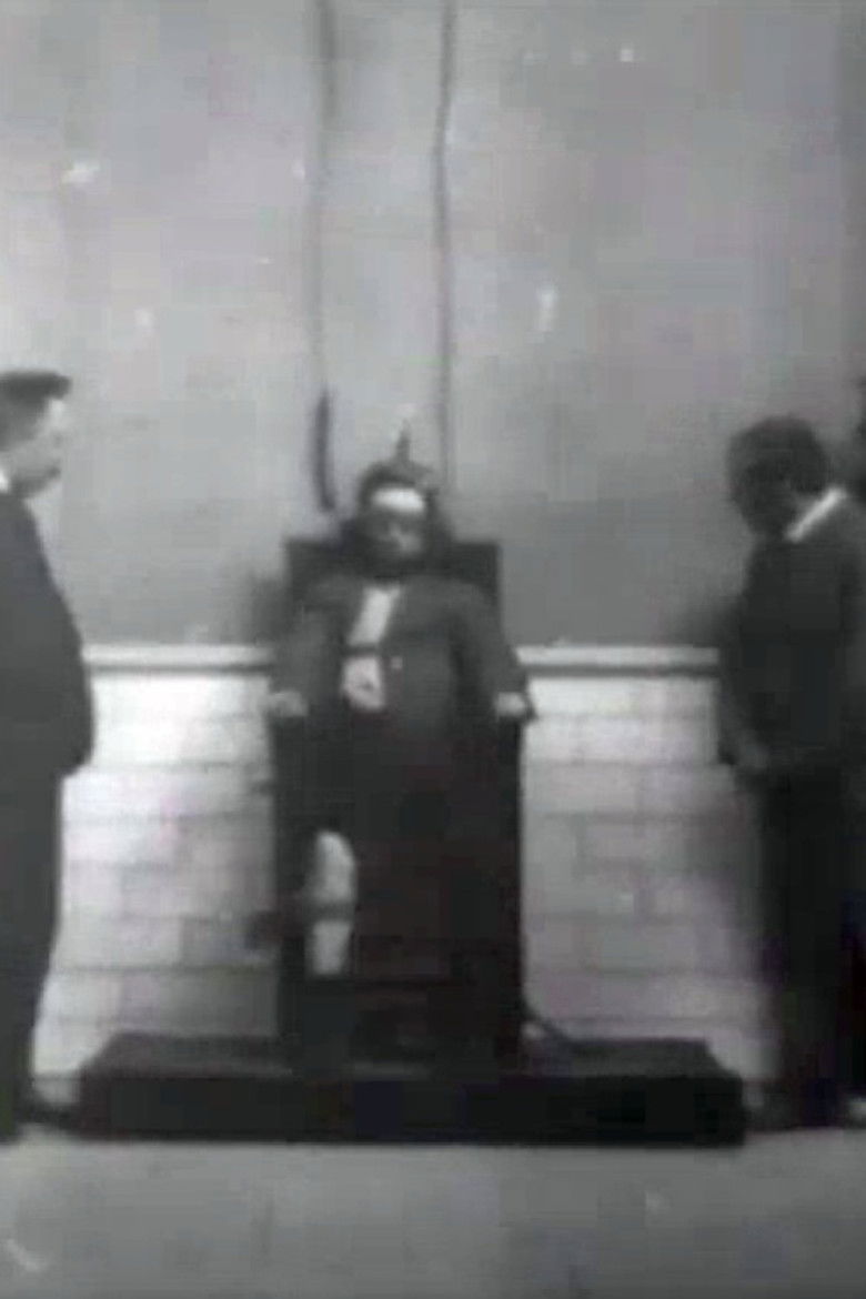 Imatge de Execution of Czolgosz with Panorama of Auburn Prison