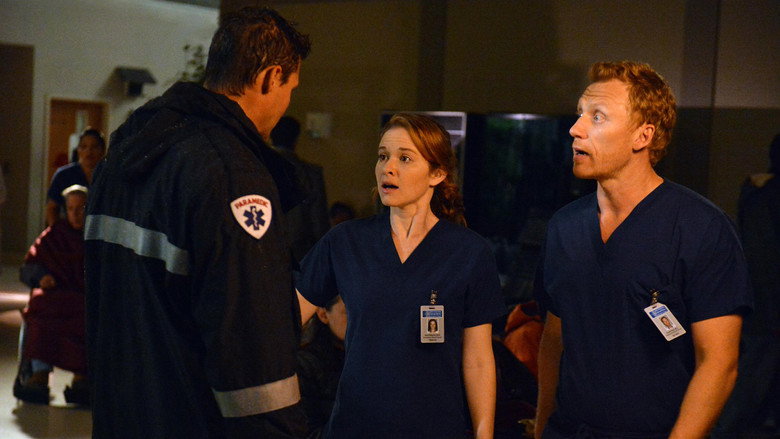 Grey's Anatomy Season 9 Episode 24