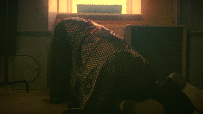 Imatge de REX SPIDER