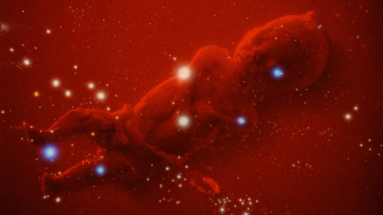 The Black Cat image 12