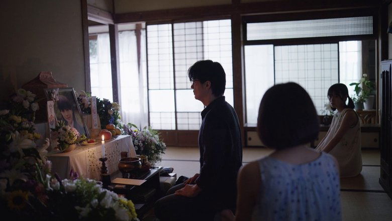 Gallery image from tuWahsxTq4kTTBZjhmHUZLCcn51.jpg