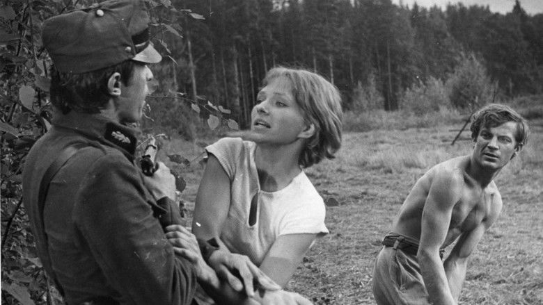 Image d'arrière-plan 2 du film Vālodzīte