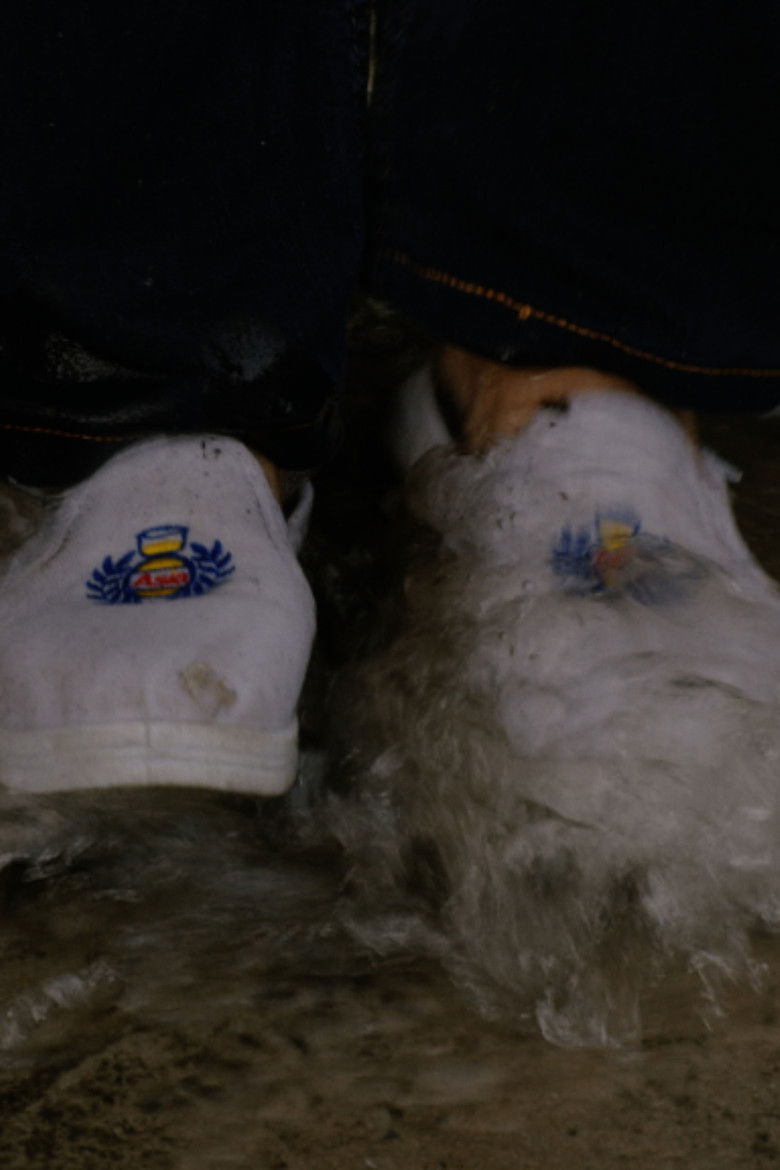 Imatge de Nhung Con Voi Trong Thanh Pho