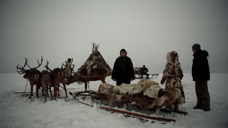 Gallery image from tvsidRDCXh9xcZHsyXKqJ8OQHBB.jpg