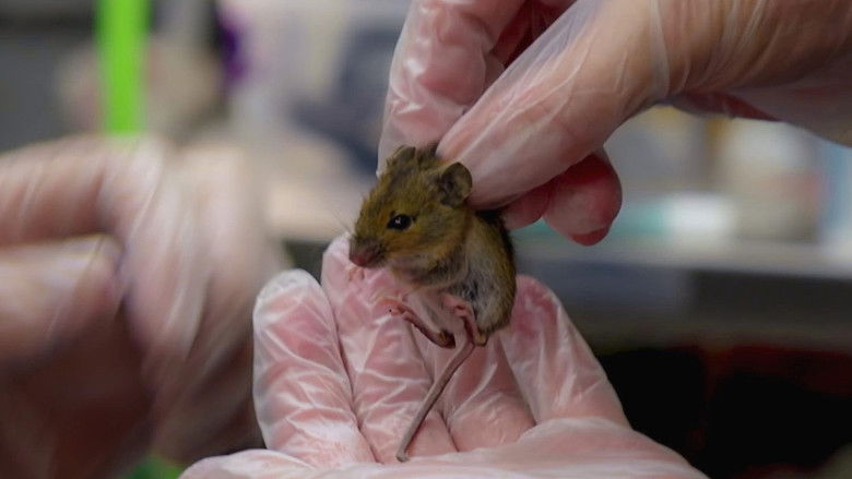 Still image for Joanna Page's Wild Life season 1 episode 8: Episode 8