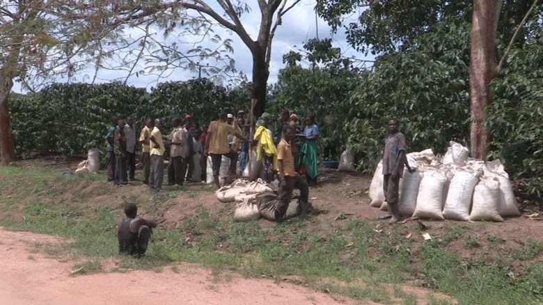 The Mubende Case and the bitter taste of eviction (2015)
