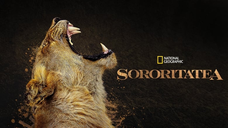 Gallery image from txMCY5ys8RWiNXRedsU6RooVNWs.jpg