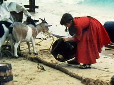 Still image for Swiss Family Robinson season 1 episode 1: The Arrival Still image for Swiss Family Robinson season 1 episode 1: The Arrival