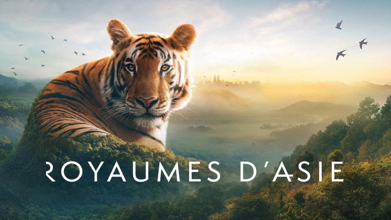 Gallery image from txZz7LA2dDNkWxvWOA1AZPyDaFd.jpg