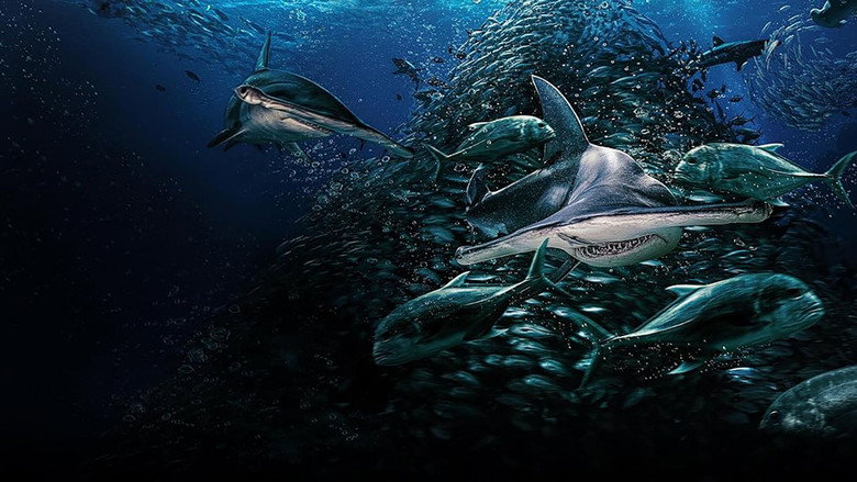 Battle for Shark Mountain
