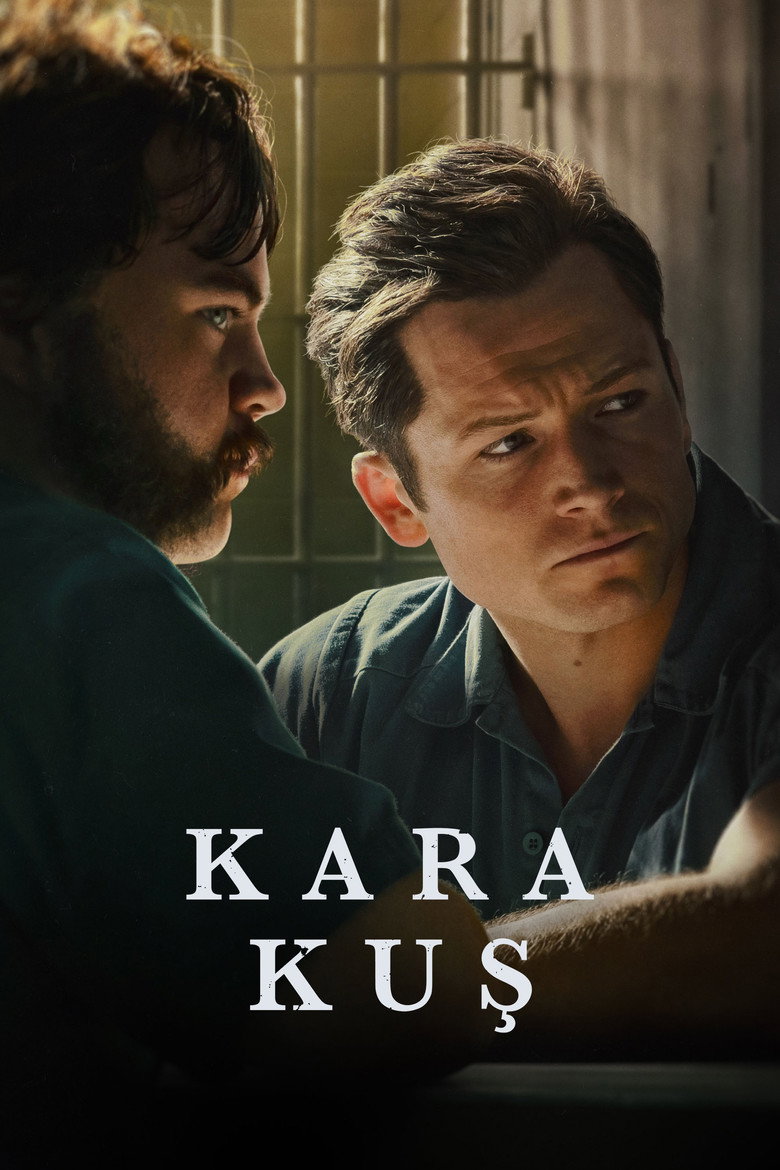Kara Kuş