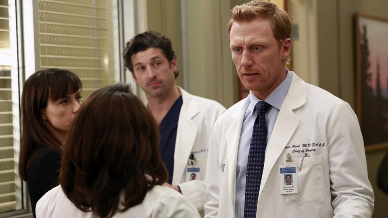 Grey's Anatomy Season 9 Episode 15