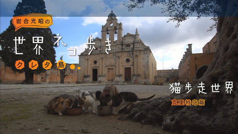 Still image for Mitsuaki Iwago's World “Cats” Travelogue season 1 episode 49: Crete Still image for Mitsuaki Iwago's World “Cats” Travelogue season 1 episode 49: Crete