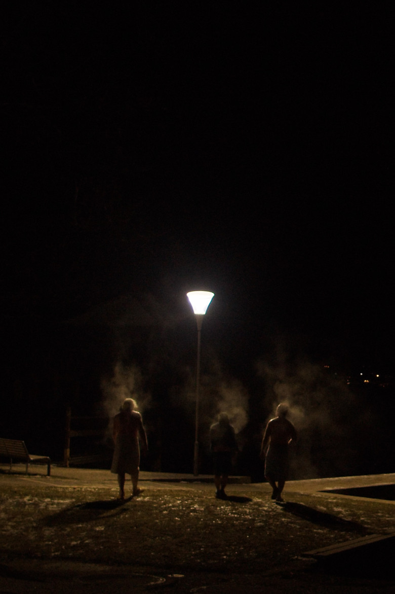 Imatge de Die Saunagänger vom Attersee