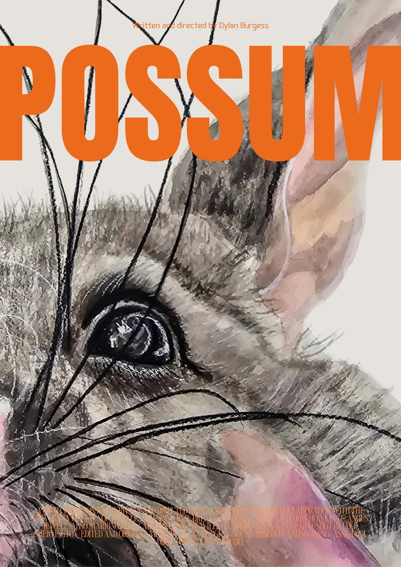 Imatge de Possum