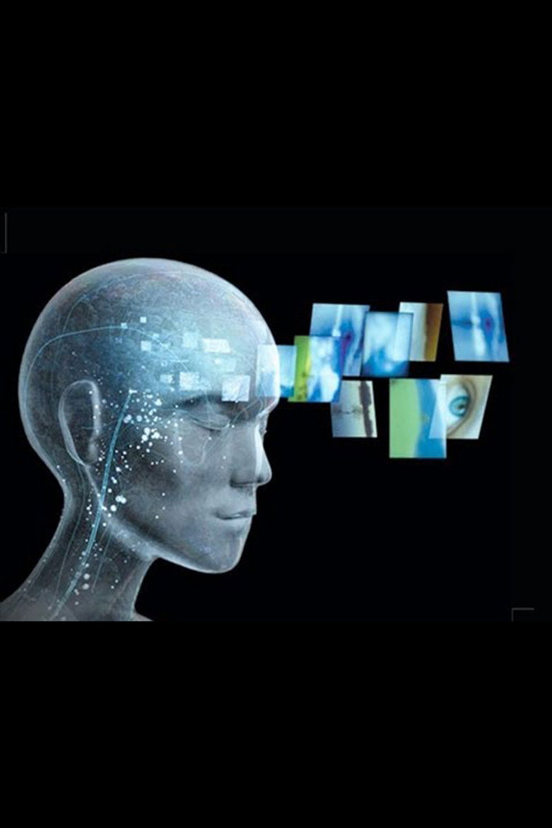 What Is Consciousness? background