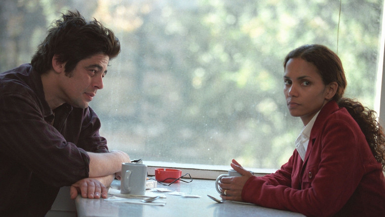 Things We Lost in the Fire image 5