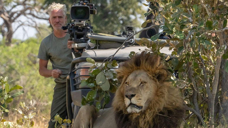 Still image for Big Cats 24/7 season 1 episode 1: Episode 1 Still image for Big Cats 24/7 season 1 episode 1: Episode 1