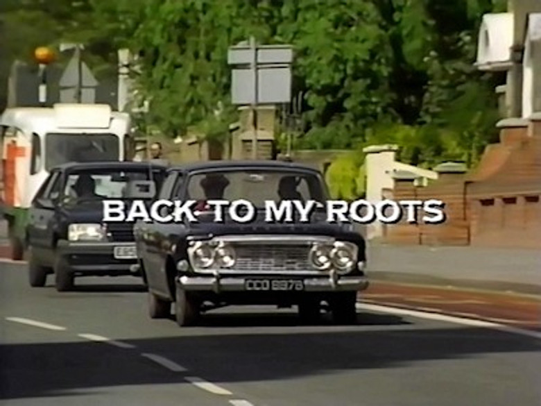 Back to My Roots