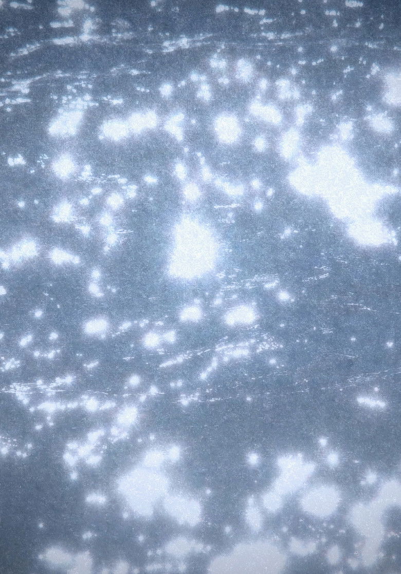 Imatge de Microcosmos