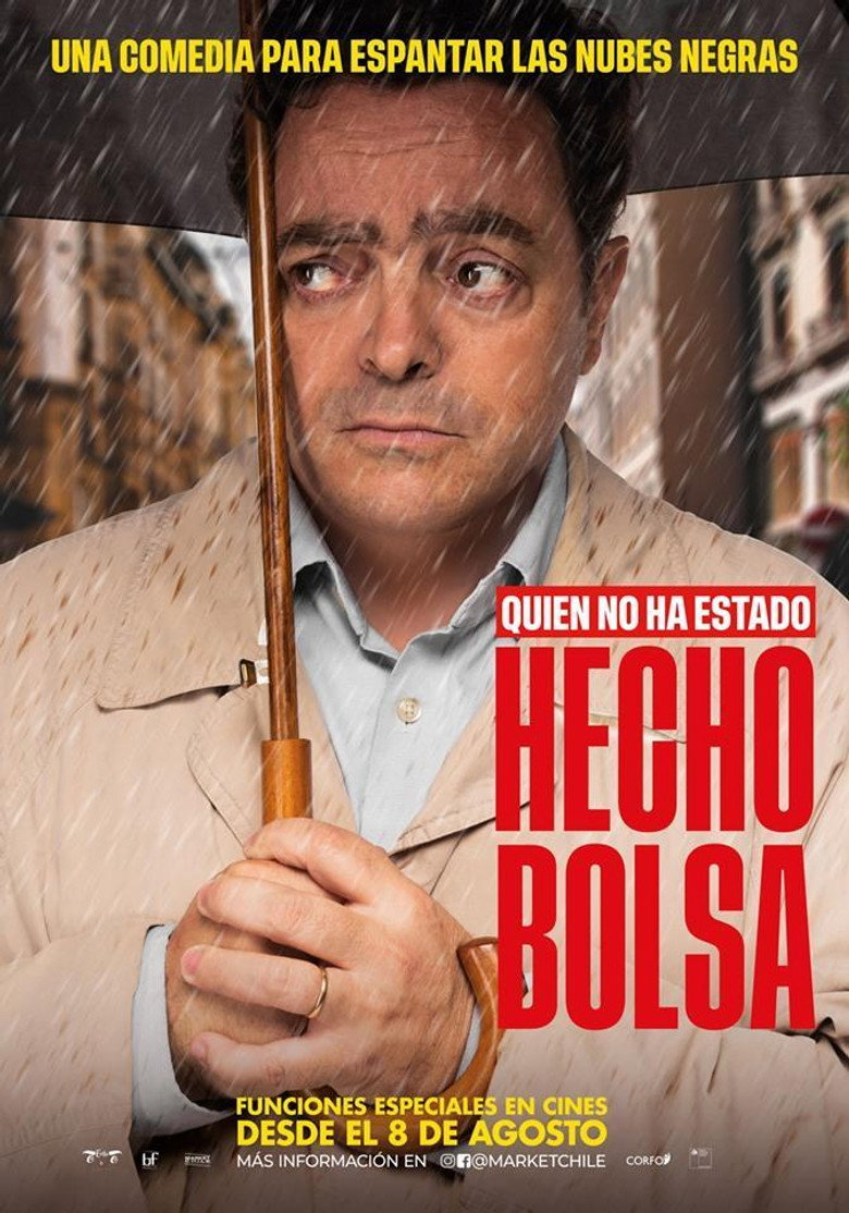 Hecho bolsa — image 2