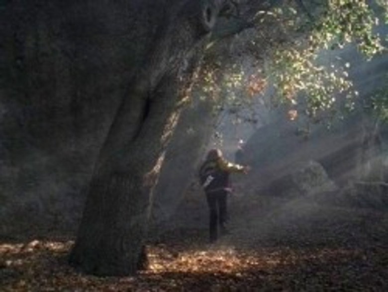 The X-Files S07E05 — Rush episode still