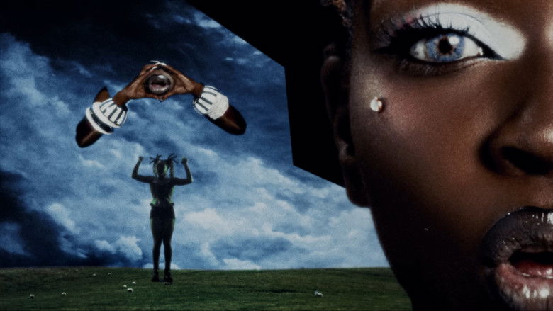 Imatge de Fashion Designa