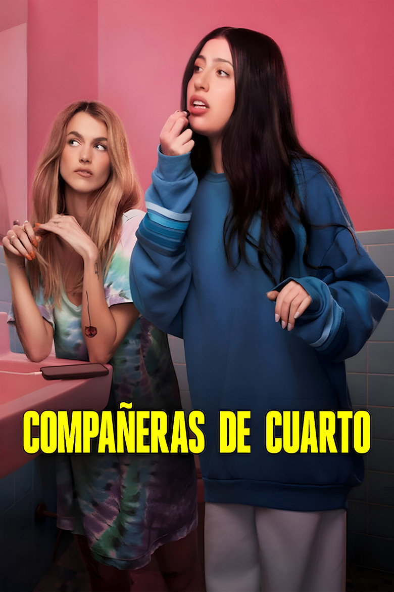 Póster la Película