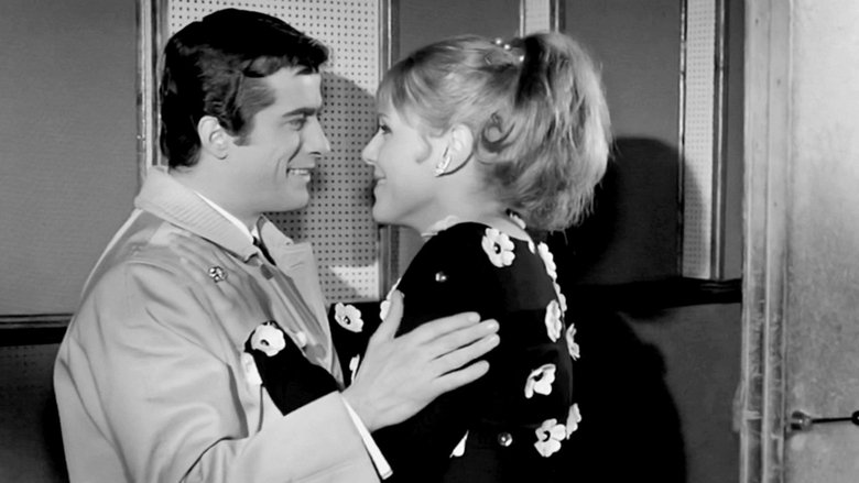 Gallery image from u1H9SeLI9DjMXcPxTLQLwJiABgT.jpg