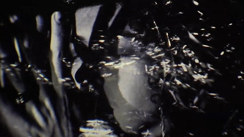 Gallery image from u1RWhQEgGUr79xiUuyGZ4IVQkWl.jpg