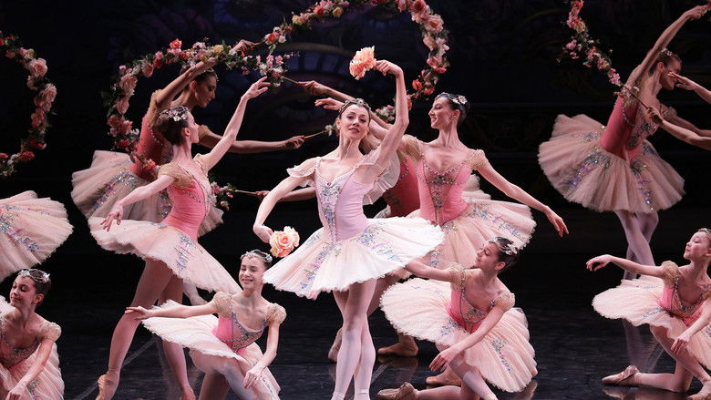 Gallery image from u1RxsjfP7VxC6K2teXtm6KmJcfp.jpg