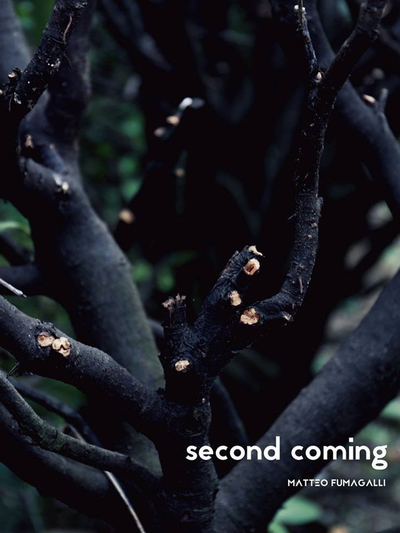 Affiche ou illustration — Second coming