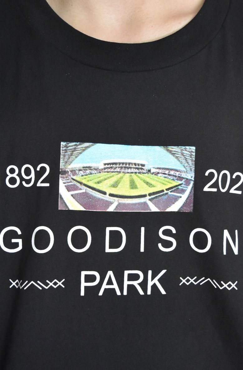 Goodison Park background