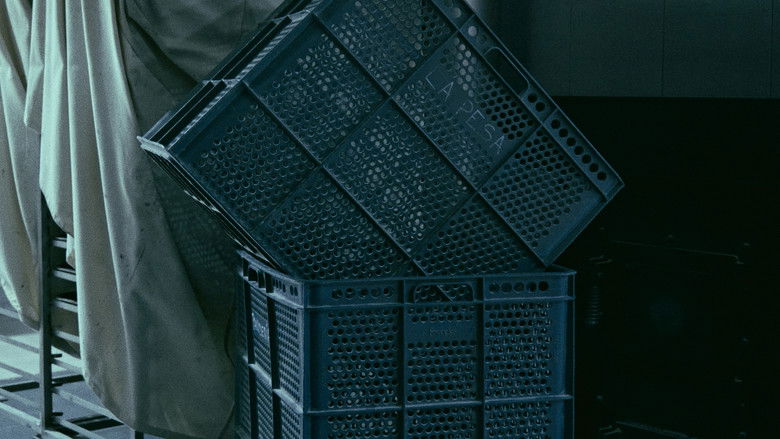 The Mechanics of Film Photo 3