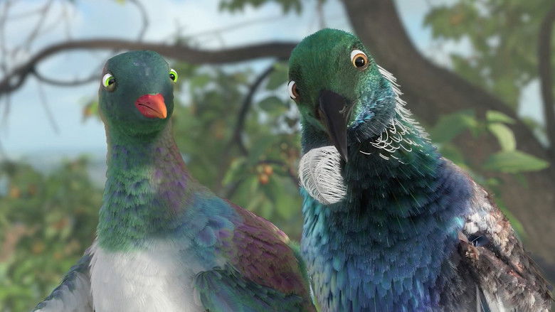 Bird's Eye View | Trailer | RNZ