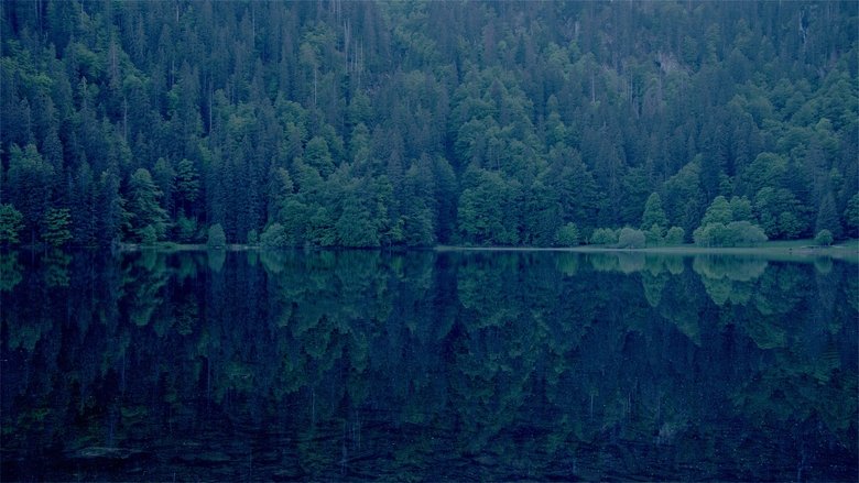 Gallery image from u3lPAX47AroBnyIoONInQGFxegu.jpg