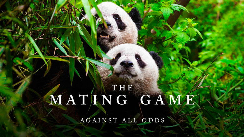 Gallery image from u47CQlxk0raJ7FFUogIHfQNZjYR.jpg