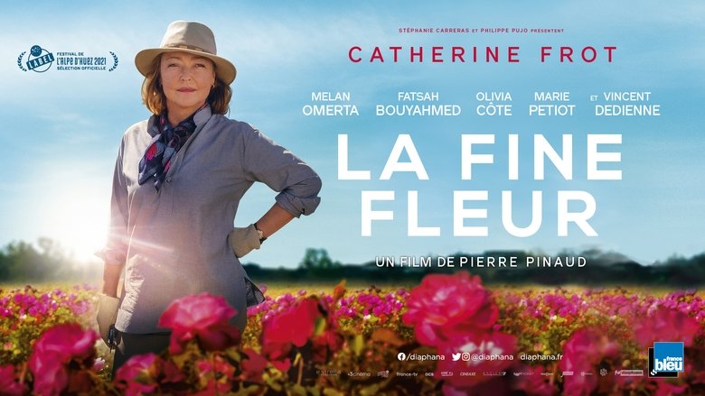 Voir La fine fleur en streaming vf gratuit sur streamizseries.net site special Films streaming