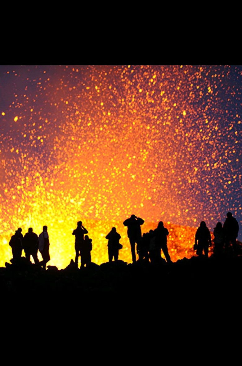 Imatge de The Human Element