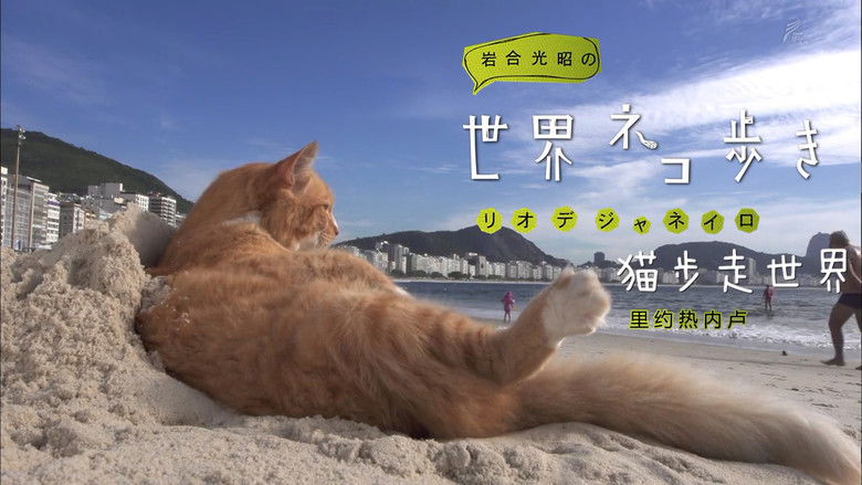 Still image for Mitsuaki Iwago's World “Cats” Travelogue season 1 episode 40: Rio de Janeiro Still image for Mitsuaki Iwago's World “Cats” Travelogue season 1 episode 40: Rio de Janeiro