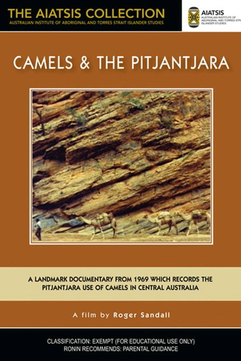 Imatge de Camels and the Pitjantjara